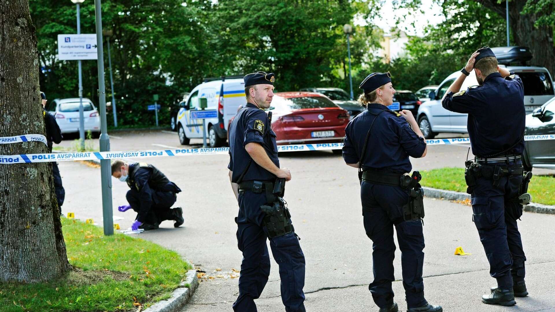 Det var den 2 september som polisen larmades till Stadsträdgården där ett mordförsök ägt rum.
