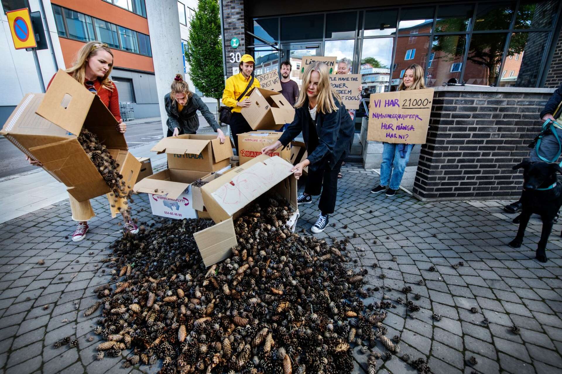 Emma Sundh var en av de lokala miljö- och klimataktivister som i fredags hällde upp 20 000 kottar framför samhällsbyggnadshuset. En kotte för varje person som protesterat mot köpcentrumplanerna på Månsberget.
