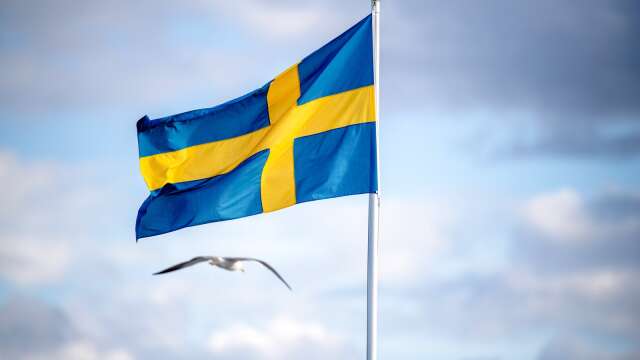 ”Sveriges regering måste markera hårt mot Teheran”, skriver Per-Ola Olsson.
