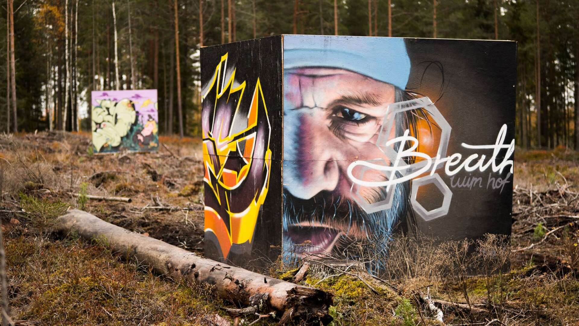 Karlstad Street Arts gatukonstkuber återvinns nu skogen vid järnvägen.