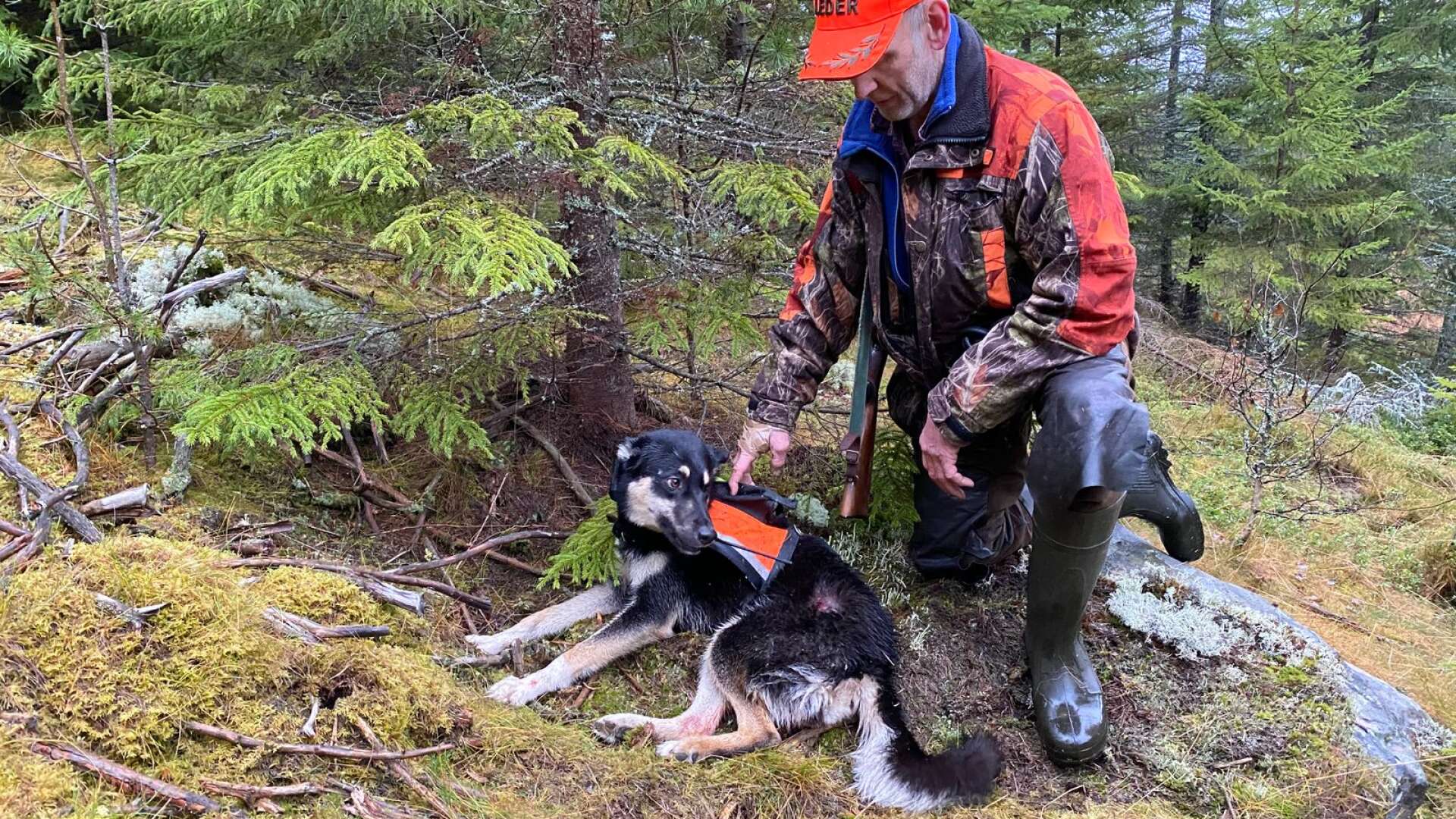 Henrik Tågmark med hunden Cindy, precis efter vargattacken i november 2019.