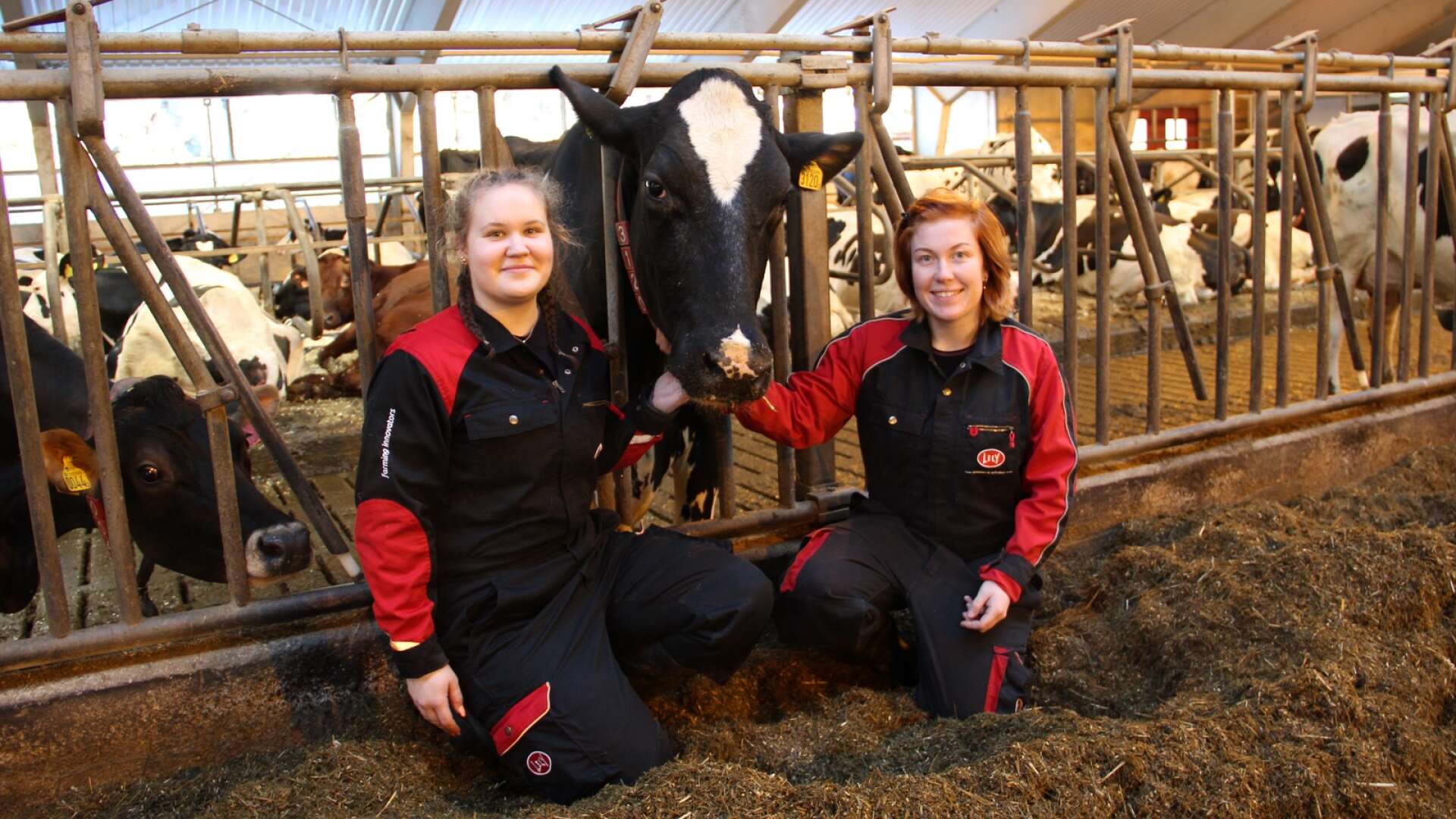 Petra Bäckström och Hanna Ottosson med en av mjölkkorna som de vann pris för i utställningen Herd Competition.