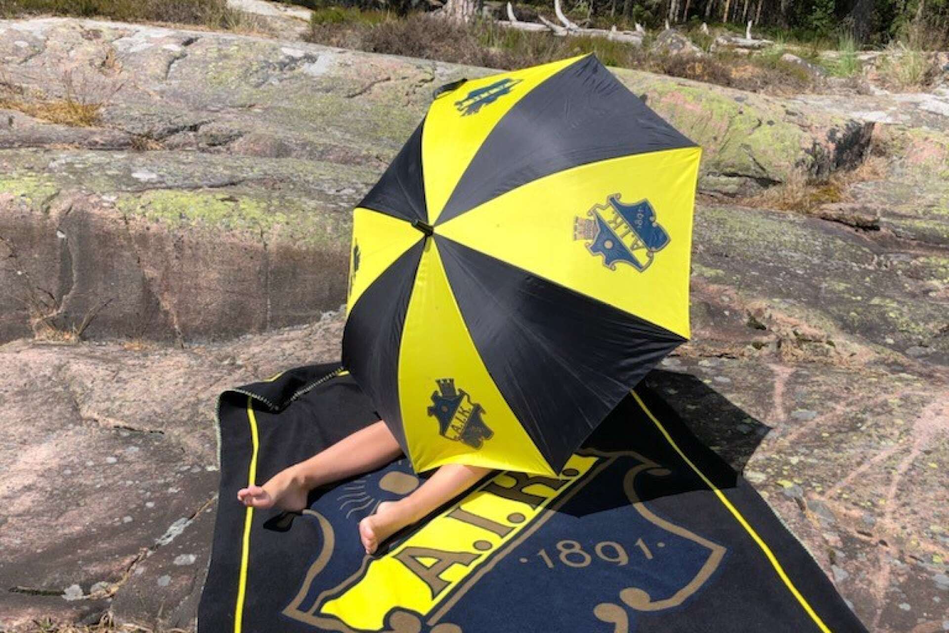 Är man gnagare fungerar ett AIK-paraply lika bra på en klippa som en AIK-handduk.