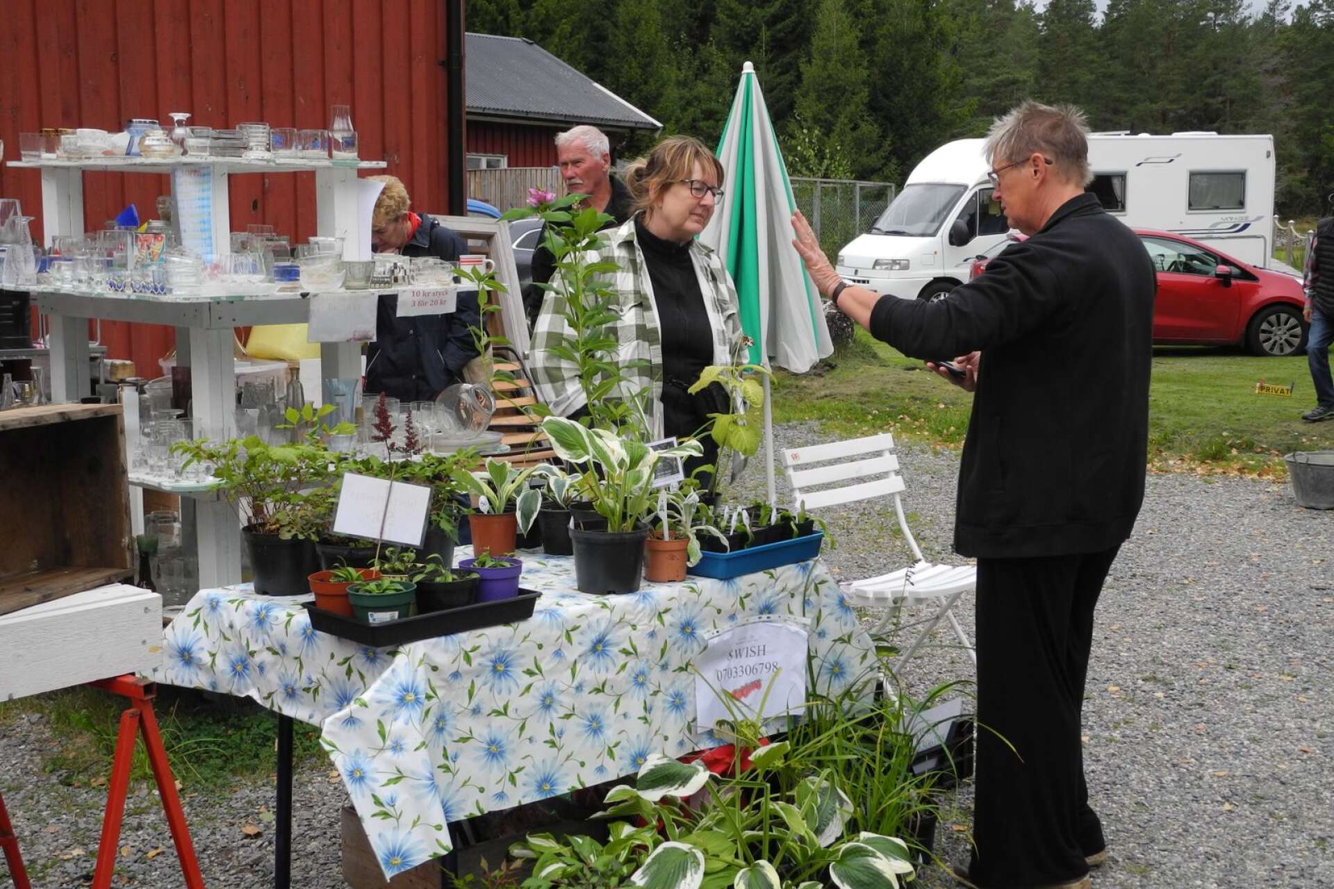 Eva Lena Häll från Åmål sålde olika sorters plantor. Här i diskussion med Anneli Gustafsson.