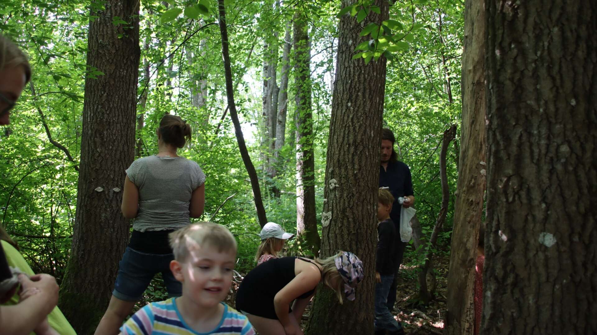 Den 19 juli samlades både barn och föräldrar i lövskogen vid Sörgårdens skola där man målade och njöt av naturen tillsammans. 