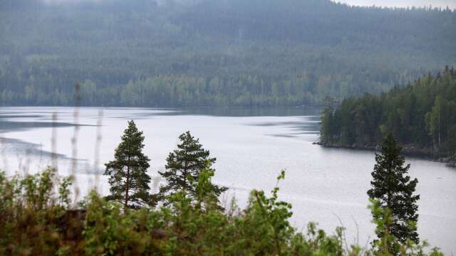 Enligt Fortums utrivningsansökan beräknas medelnivån på Stor-Ullen sjunka med runt 1,7-2 meter efter utrivningen, vilket fastighetsägarna tror lär påverka både fisk och fauna i och runt sjön, kanske under flera århundranden framöver.