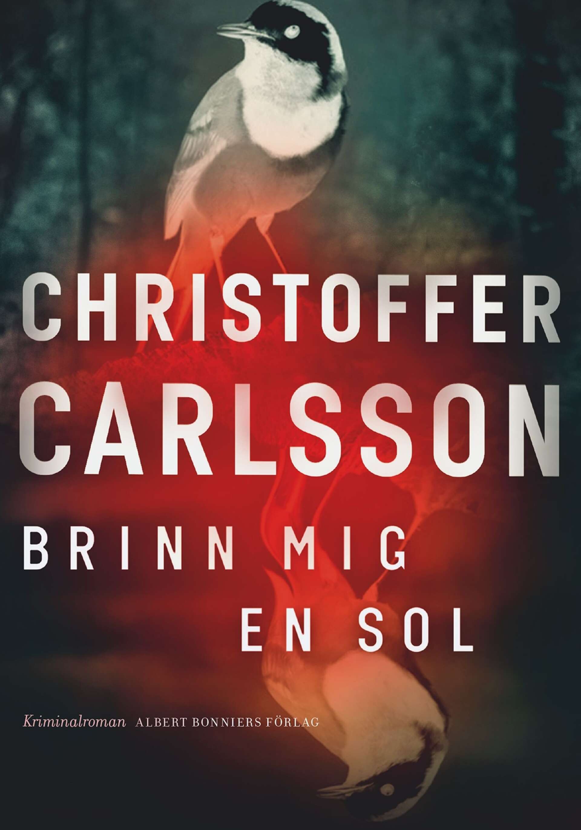 Brinn mig en sol av Christoffer Carlsson.