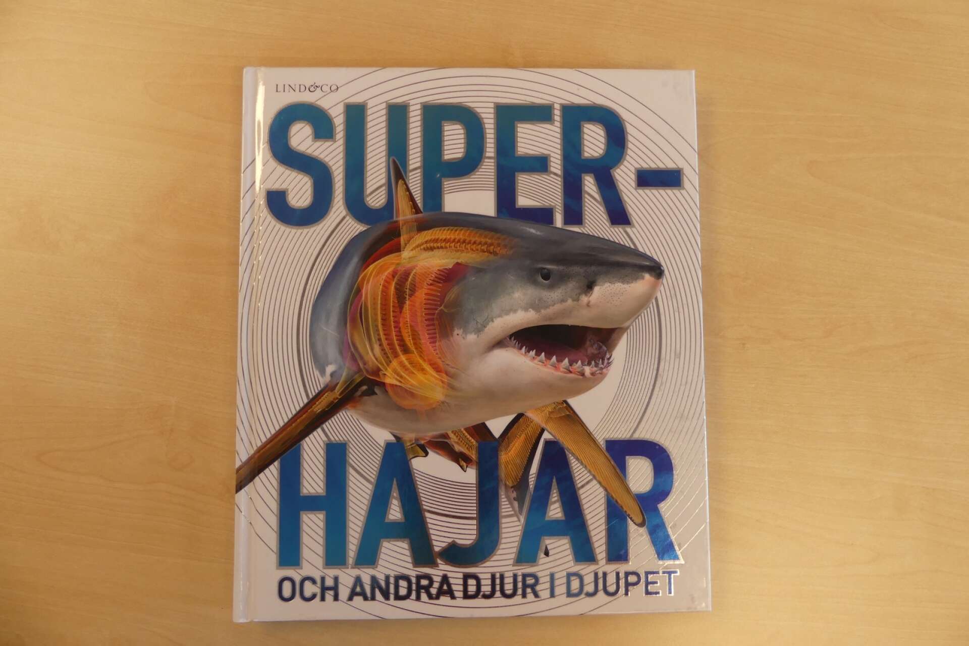 Superhajar och andra djur i djupet av Derek Harvey. Det är jättestort med hajar, dinosaurier och stora djur. Böckerna är tacksamma, både för de som läser själva och för de som läser tillsammans med vuxen. Det är många fina bilder och färger och passar många. Ett säkert kort!