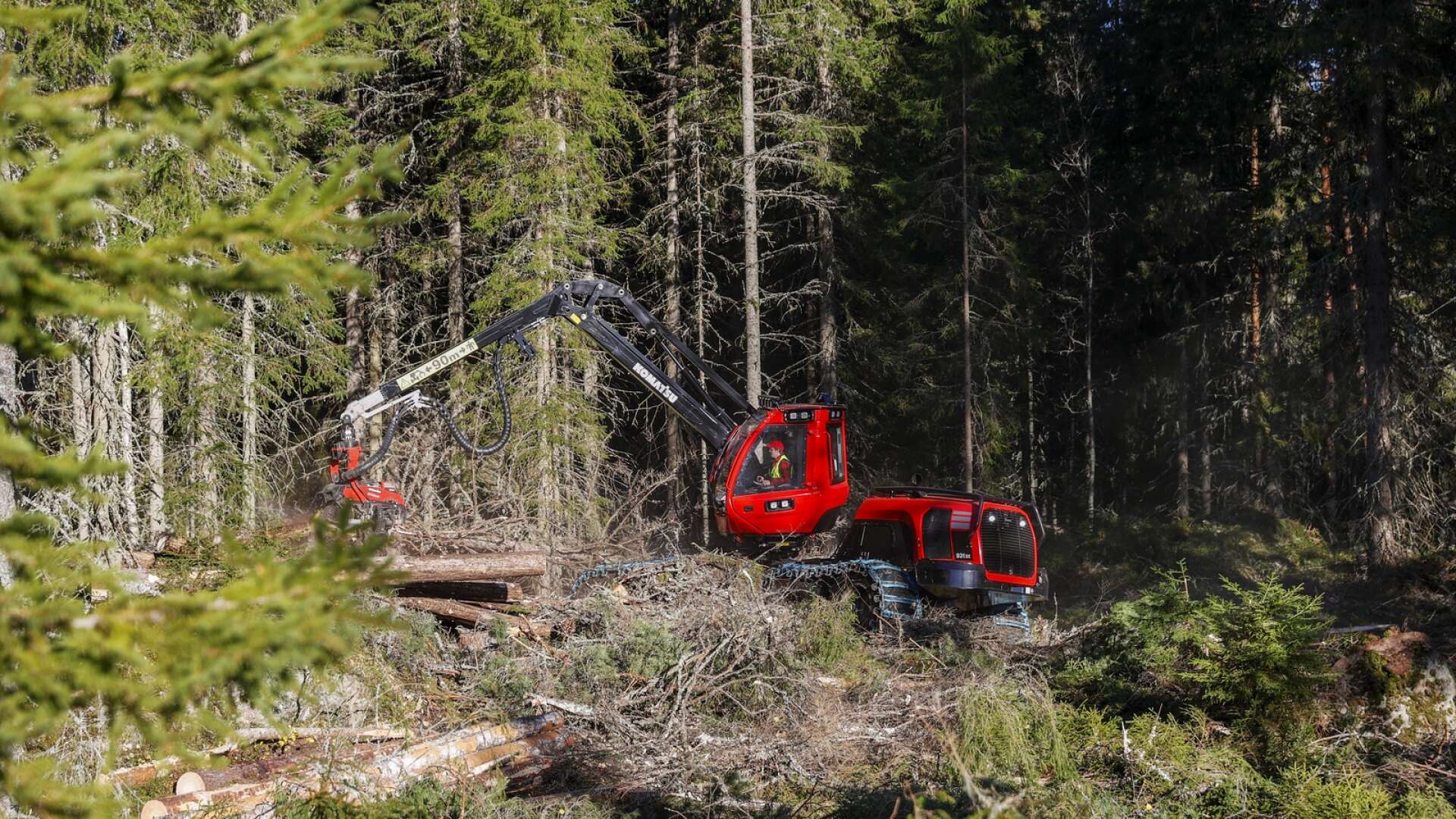 Under natten till fredag stals dyra dator- och gps-utrustningar från skogsmaskiner och jordbrukstraktorer i Säffletrakten. (Skogsmaskinen på bilden är inte den maskin som drabbats av inbrott).