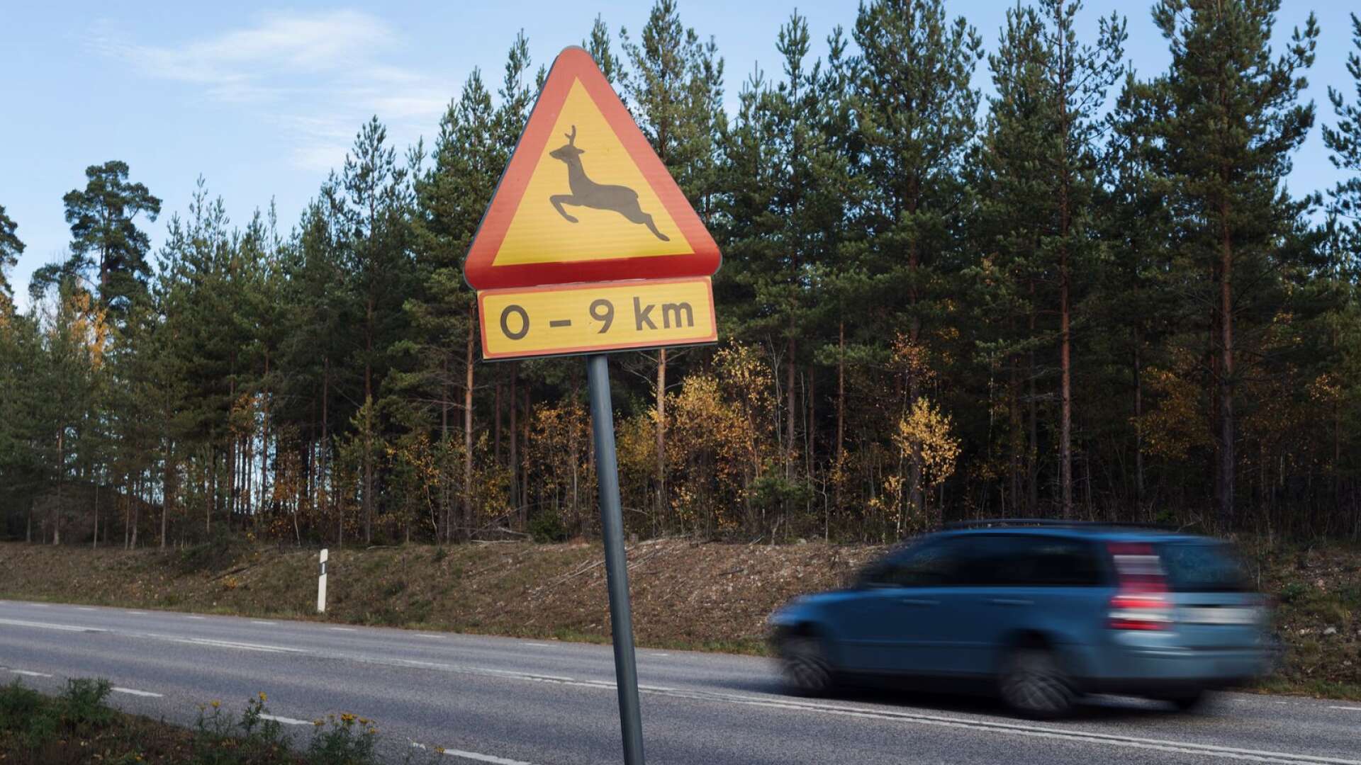 I trafiken var olyckorna med vilt och ren rekordmånga under 2021, över 65 000. Alltså en olycka var åttonde minut, skriver Elisabeth Nilsson.