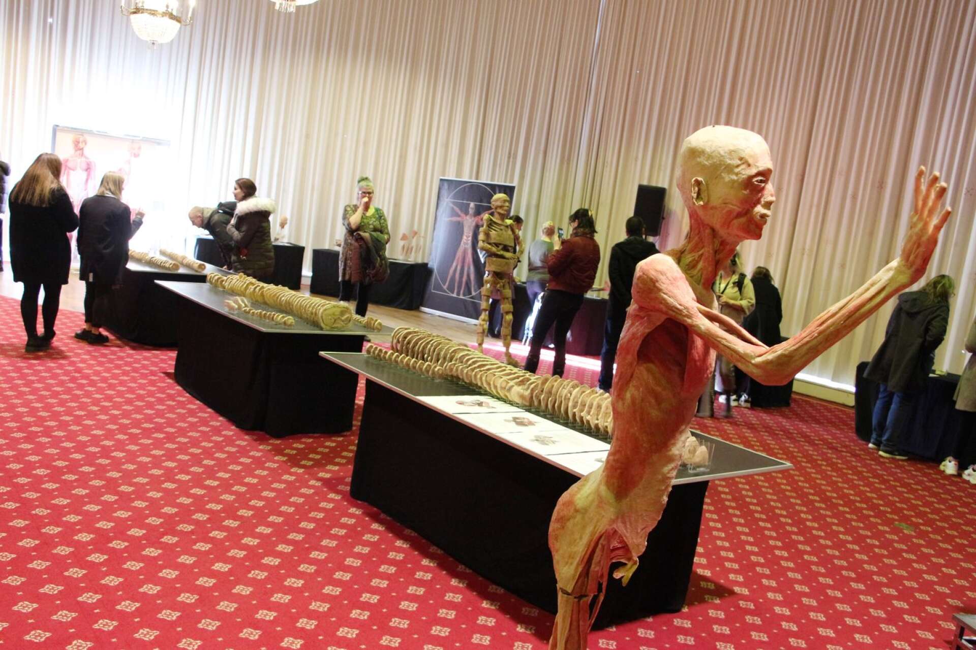 Utställning på Billingehus med riktiga människokroppar.