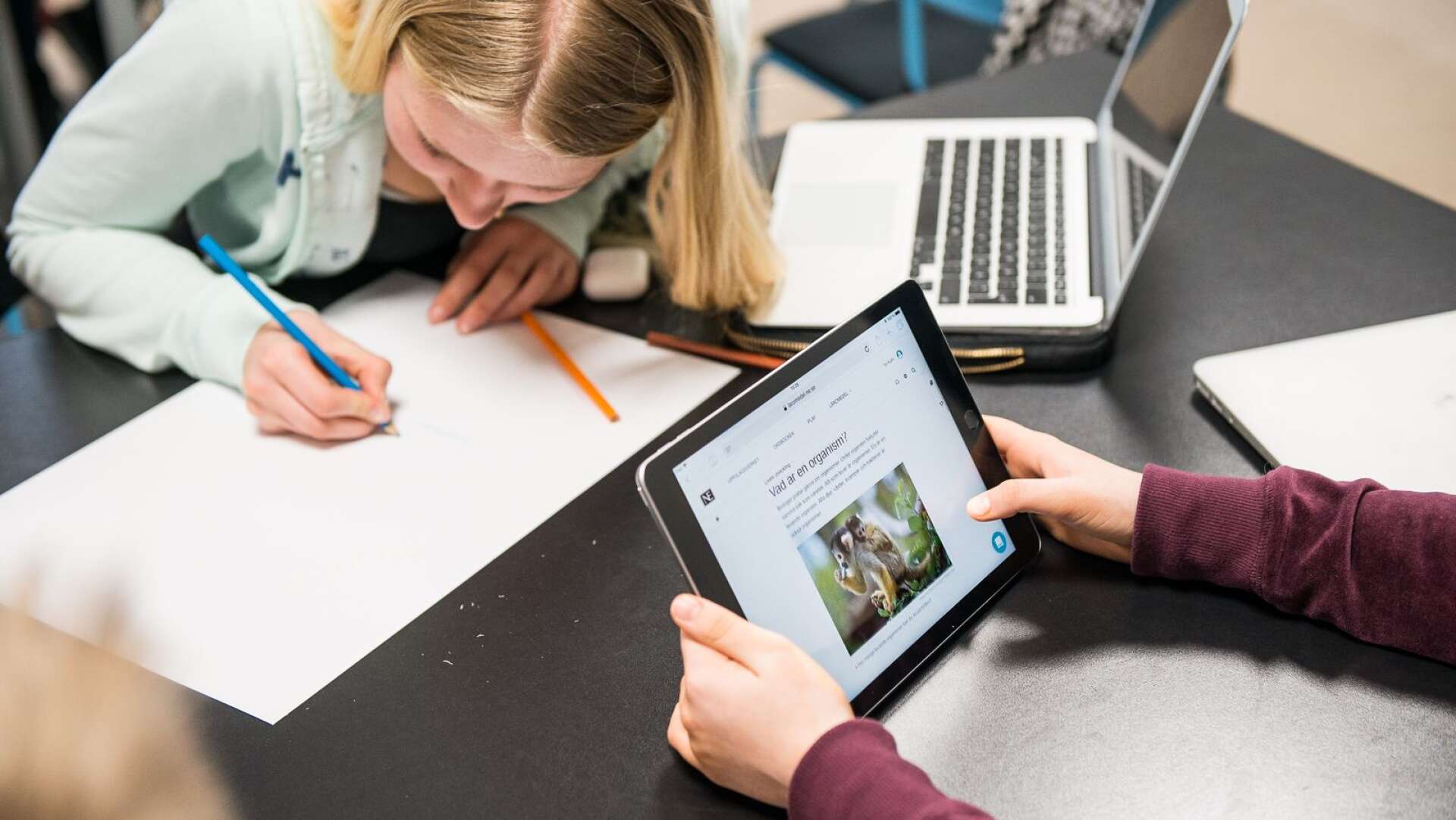 Insändarskribent vill att lärare ska ges möjligheter att satsa fullt ut på digitalisering,  på bilden arbetar elever med digitala Nationalencyklopedin.
