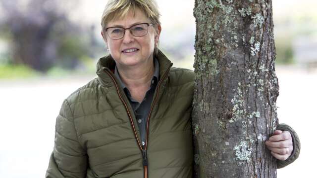 Birgitta Höijer, Centerpartiet i Degerfors, hade synpunkter på årsbokslutet 