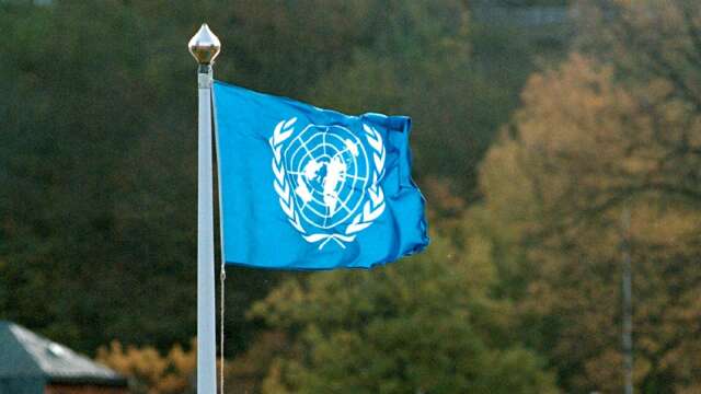 Den 24 oktober är det Internationella FN-dagen. 
