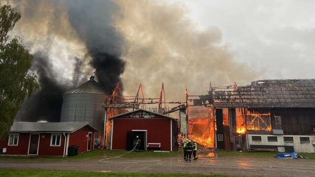En kraftig brand utbröt på en gård i Häggesled utanför Järpås på söndagsmorgonen.
