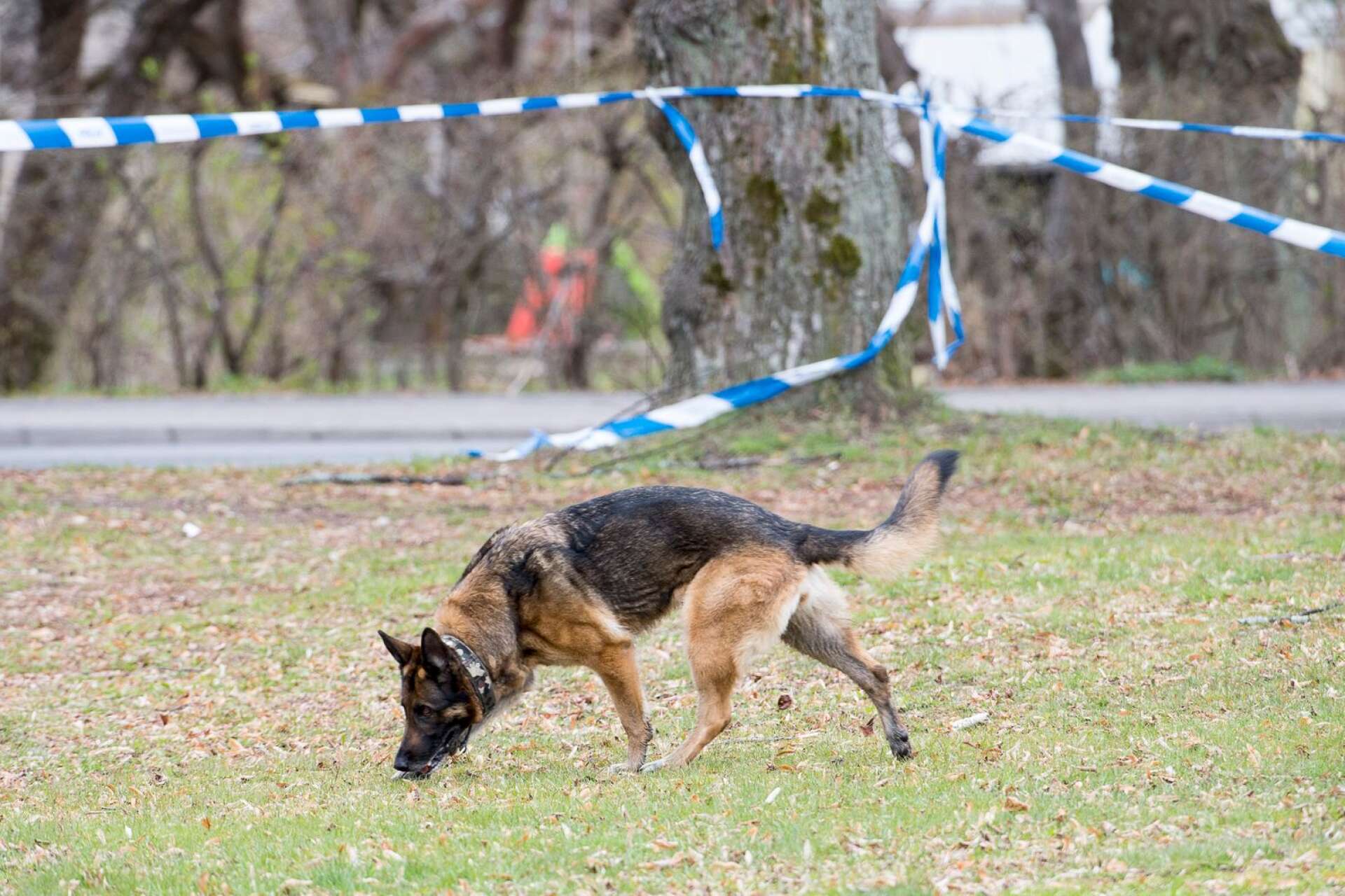 En polishund hittade en dunk med diesel på en plats där en stöld skett från en lastbil.