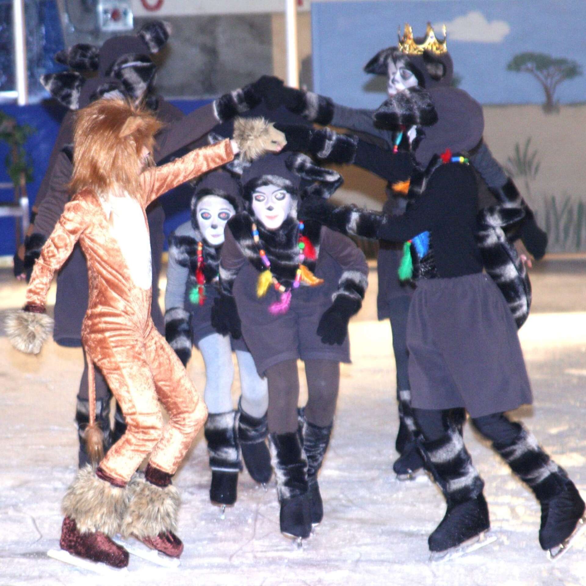 Madagascar on ice, 2009.