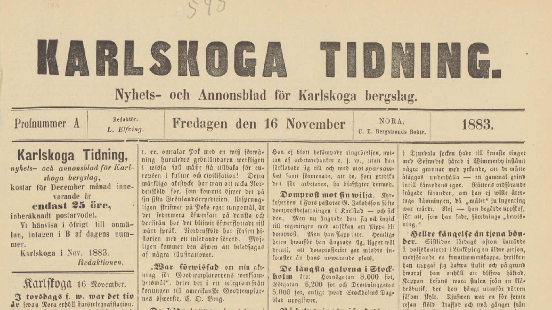 Det första provnumret av Karlskoga Tidning från 1883 finns med i Kungliga Bibliotekets internettjänst Svenska dagstidningar.