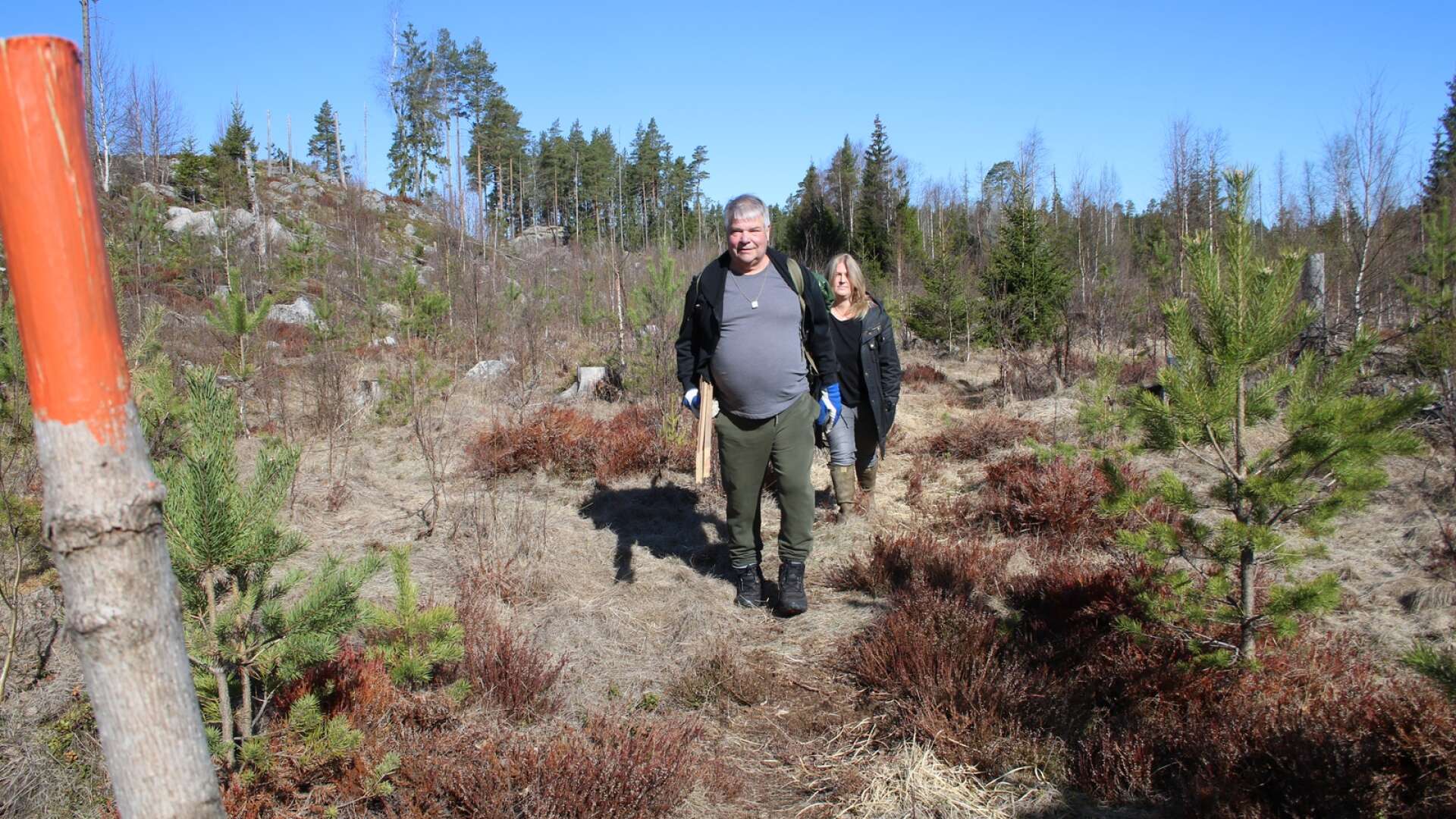 Leif Olsson och Pernilla Möllberg har gjort ordning en vandringsled till Lång-Kristoffers hytta i närheten av Motjärnshyttan. 