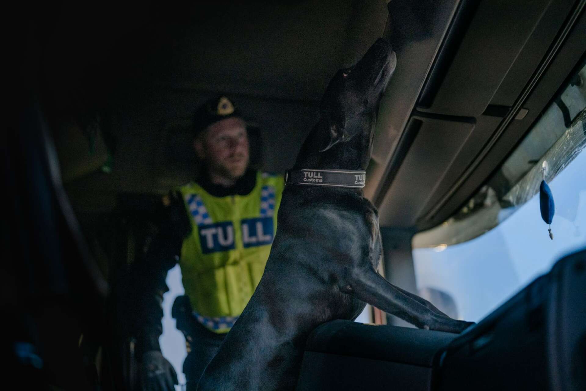 Labradoren Doffen söker igenom den polska lastbilen med sin hundförare Stefan Ekenbäck. &quot;Han är tränad på att hitta narkotika, vapen och ammunition och frysmarkerar vid fynd. Men nu hittade han inget&quot;, säger Stefan Ekenbäck.