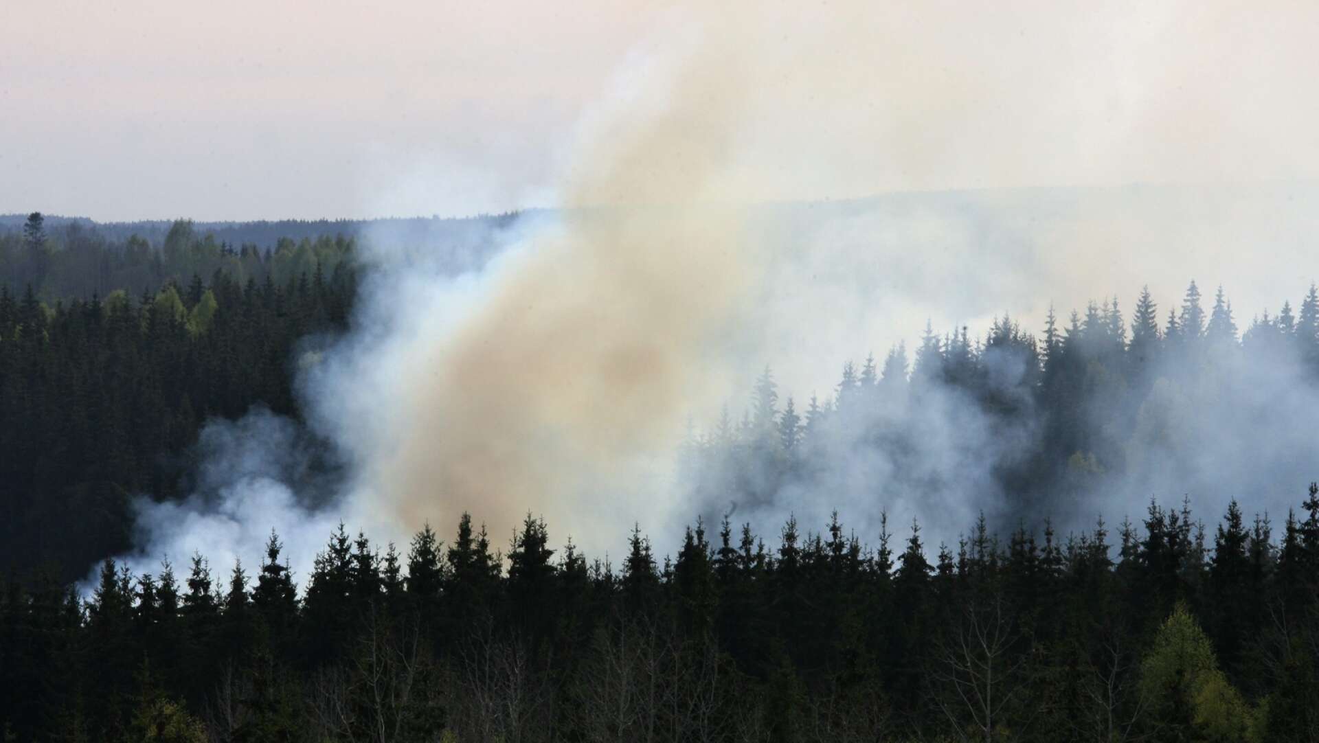 Risken för skogsbrand i Värmland är enligt SMHI extremt stor de närmsta dagarna. 