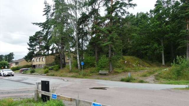 Tidigare utredde Åmåls kommun möjligheterna till ett nytt bostadsområde i Rösskogen, men det förslaget drogs tillbaka.