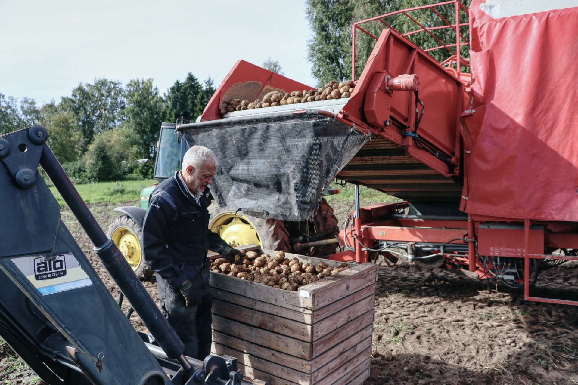 Görgen Widhja i Fridene är en av få kvarvarande potatisodlare i Hjo kommun. Han och brodern Torgny har odlingen som en liten sidoverksamhet. 