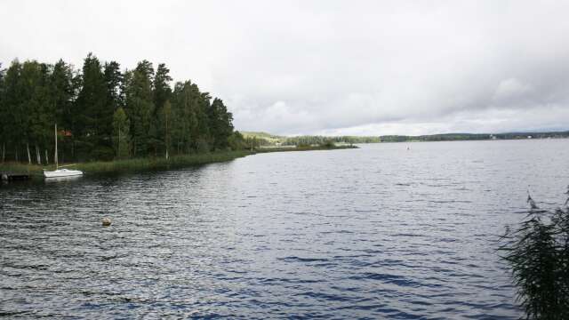 En ö är på rymmen i Arvika. 