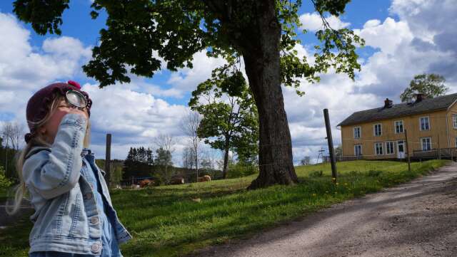 Under marken på baksidan av Gyltungebyns huvudgård i Ånimskog döljer sig en intakt 1600-talskällare som ägaren funderar på att gräva fram.