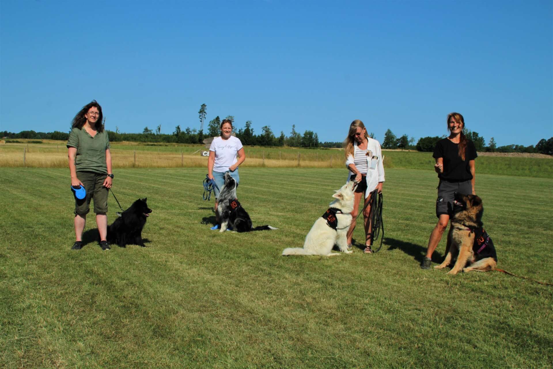 Räddningspatrullen bestående av Anneli Andersson, Arran, Agneta Karlsson, Sotte, Tiffani, Irene Fryxell, Tina Olovsson och Marshall, tränade på Mossängens gård.
