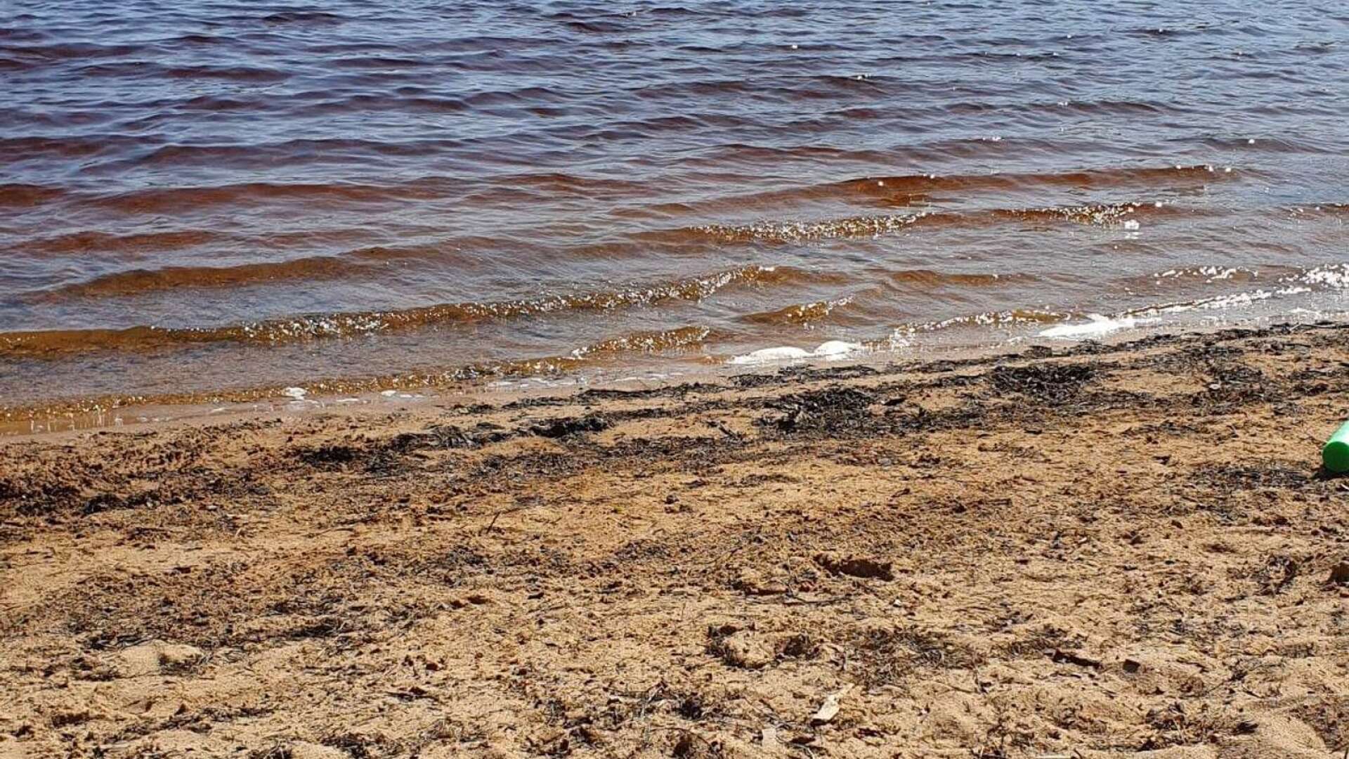 Badstranden i Sandsjön är ett exempel på en sommarpärla i Filipstads kommun som är värd att upptäcka.