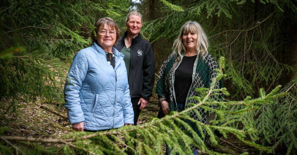 Kvinnliga skogsägare: De finns – men varför syns de inte? - Värmlands