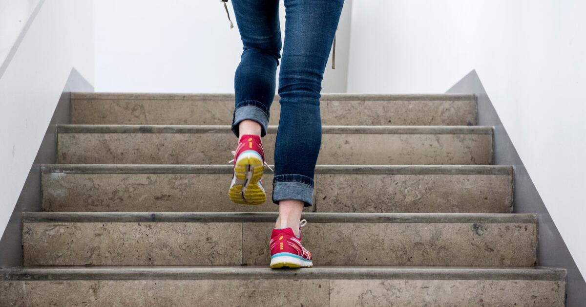 Salire le scale è un passo facile verso una vita più sana, scrive la professoressa Mae Les Helenius, Comitato per la promozione dell’attività fisica aumentata.